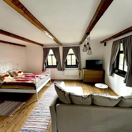 Apartment David Erzsi Haza Lunca de Jos